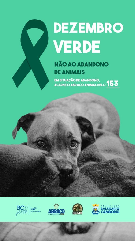 Abandono animais
