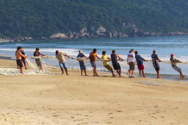 TOP 100 Pesca Artesanal da Tainha TOP 100 Pesca Artesanal da Tainha