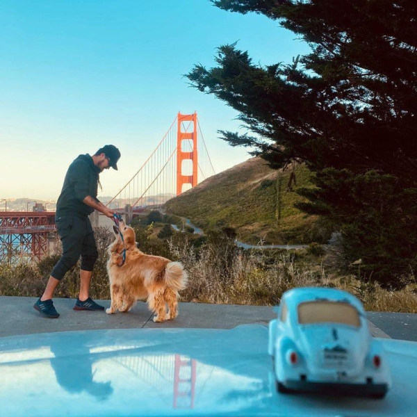 Jesse Koz e Shurastey