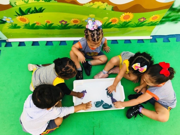 Creche de Verão Porto Belo