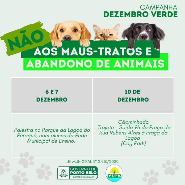 porto belo Dezembro Verde Porto Belo