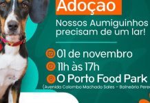 Evento de Adoção em Porto Belo busca novos lares para cães e gatos