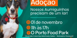 Evento de Adoção em Porto Belo busca novos lares para cães e gatos