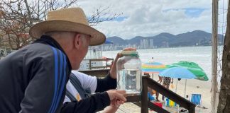 Itapema antecipa Dia D de Combate à Dengue