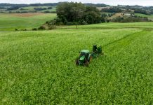 Coopera Agro SC é aprovado na Alesc e marca fortalecimento das cooperativas, agroindústrias e mais competitividade no setor