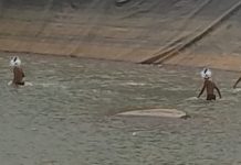 Prefeitura de Porto Belo alerta para riscos de banho na lagoa de captação de água bruta da ETA