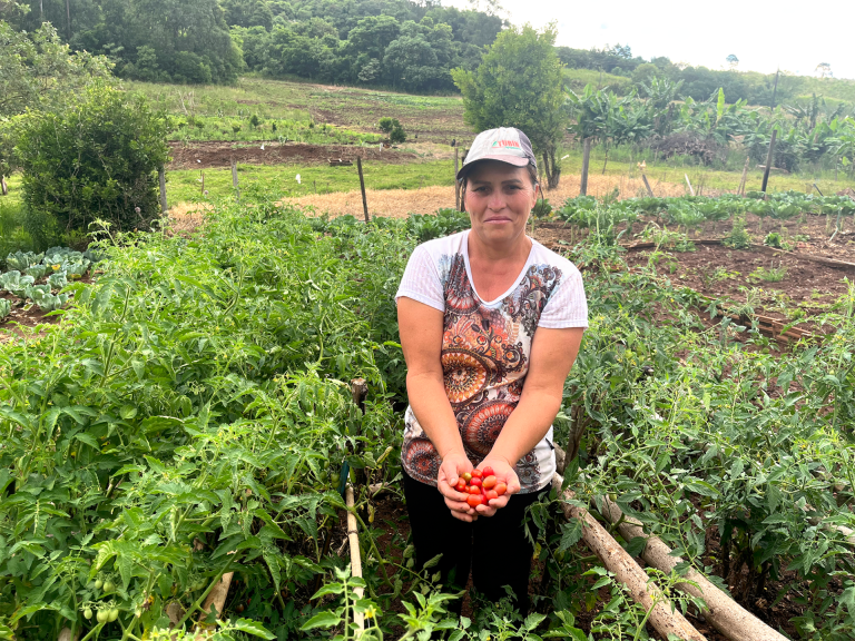 Publicado o resultado final de habilitação dos municípios e da distribuição de recursos do Programa de Aquisição de Alimentos