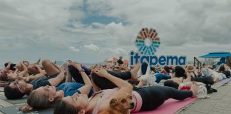 Viva Praia Pet Day acontece em Itapema neste domingo (12)