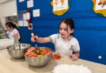 Mais de 14 mil alunos recebem alimentação escolar em Itapema