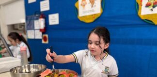 Mais de 14 mil alunos recebem alimentação escolar em Itapema