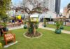 Vem pra praça: Itapema amplia espaços para brincar, praticar esporte e encontrar os vizinhos